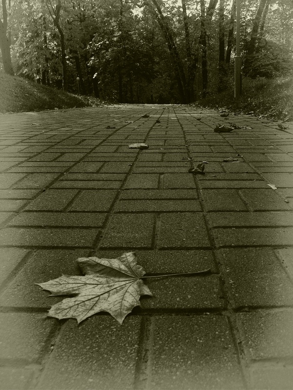 photo "***" tags: city, black&white, 