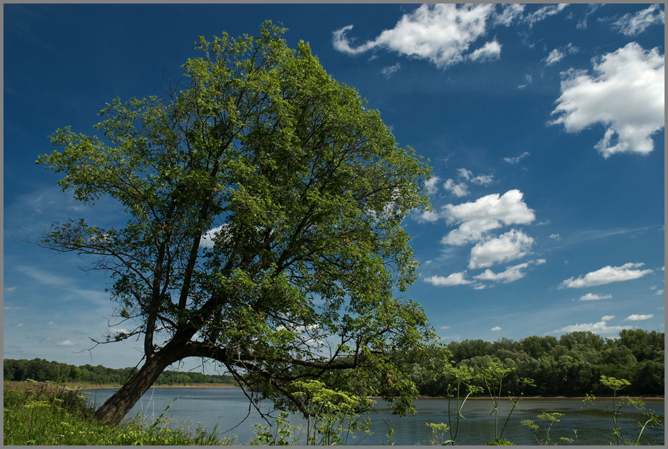 photo "***" tags: landscape, clouds