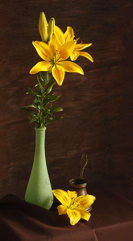 photo "Lily" tags: still life, 