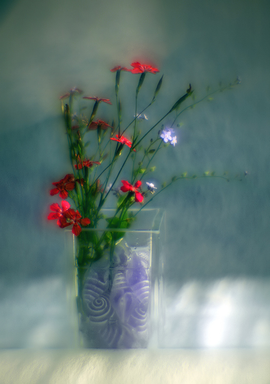 photo "Summer Dreams" tags: still life, abstract, 