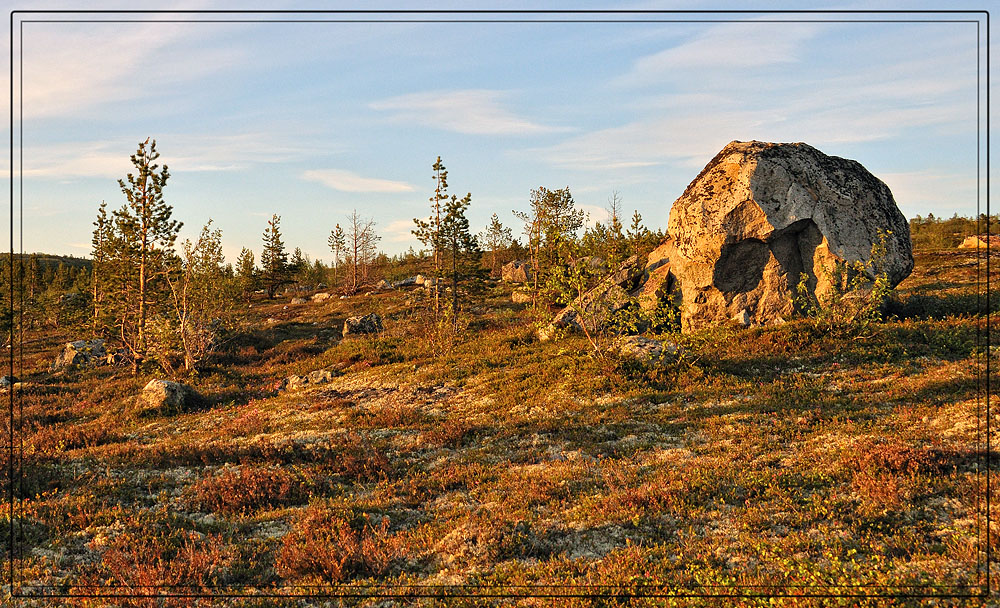 photo "Night tundra with an element of mystery" tags: landscape, genre, night