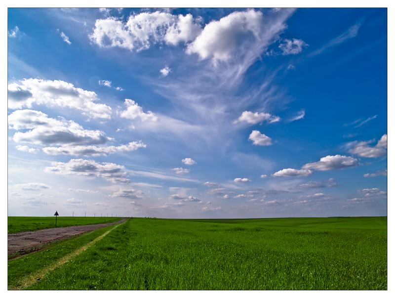 photo "The Sky, the Road  and the Corn field" tags: landscape, travel, Europe, summer