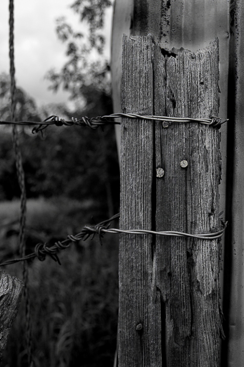 photo "The Fence Post" tags: architecture, macro and close-up, landscape, 