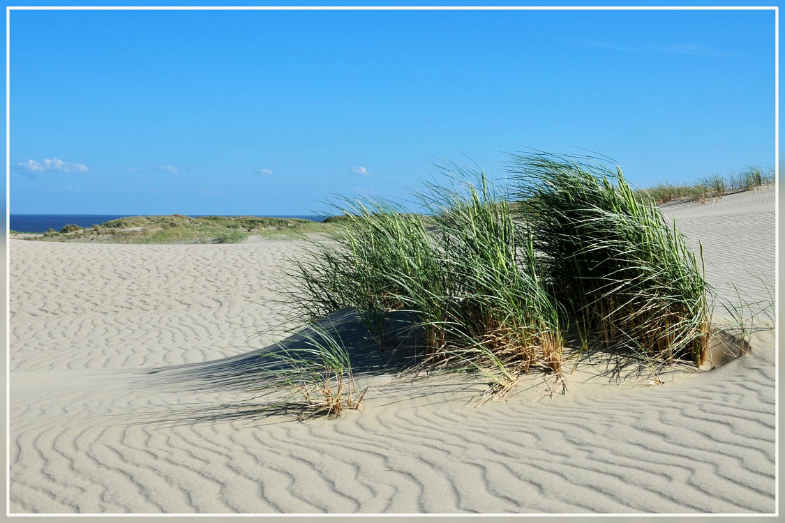 фото "The dune-Neringa" метки: пейзаж, путешествия, Европа, лето