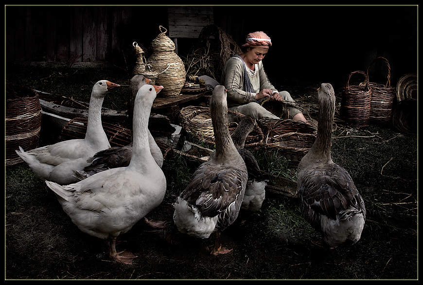 фото "Learning the job..." метки: жанр, 