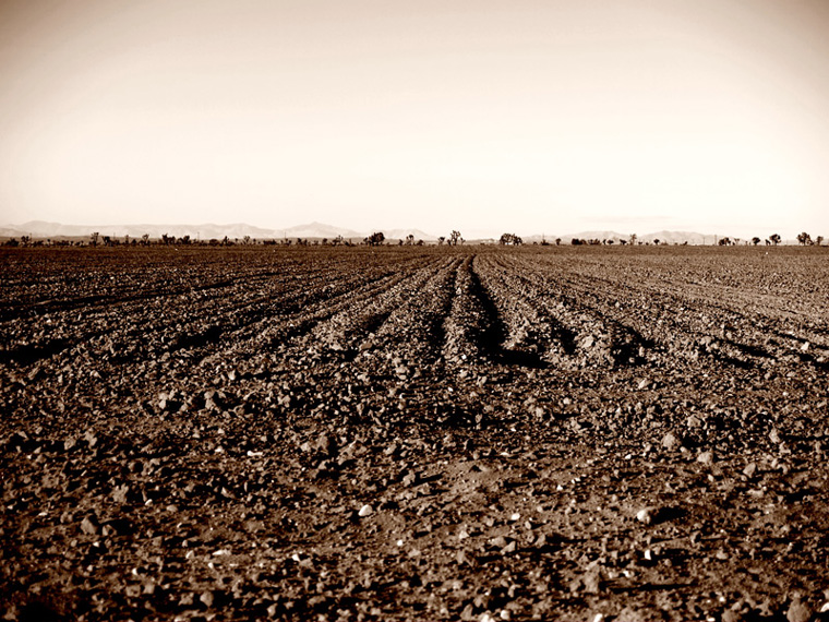 photo "Rows" tags: landscape, travel, North America