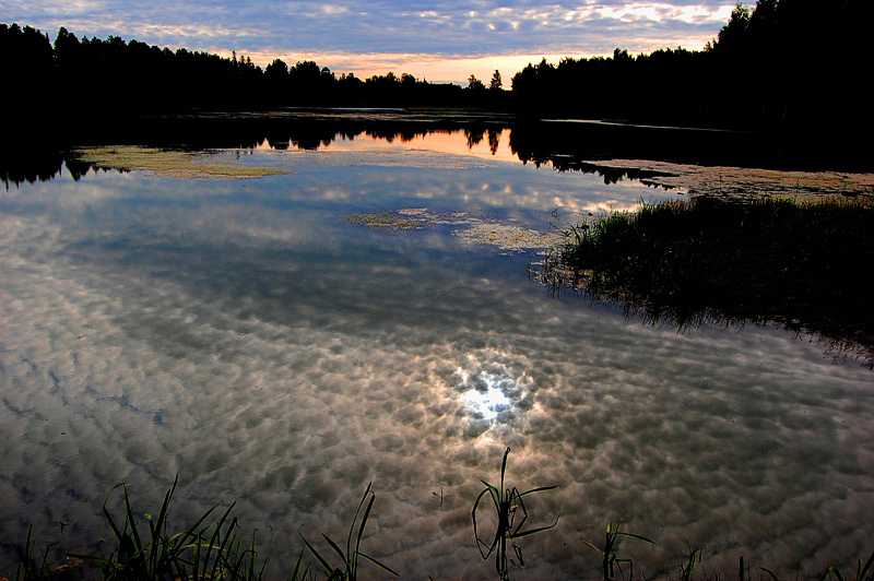 photo "***" tags: landscape, summer, sunset