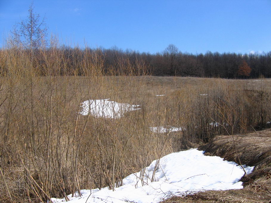 photo "***" tags: landscape, spring