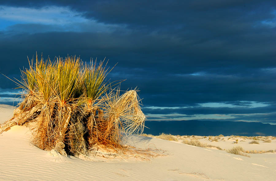 photo "Yellow sun of a desert" tags: landscape, travel, sunset