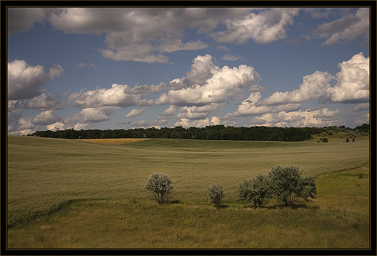 photo "***" tags: landscape, summer