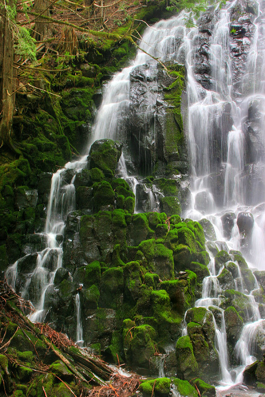 photo "Green Hill" tags: landscape, forest, water