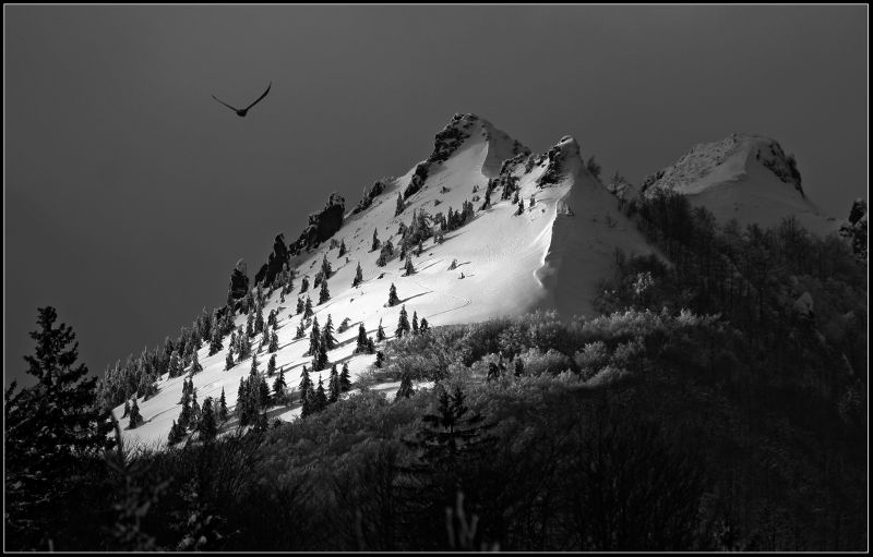 фото "Winter in black&white" метки: пейзаж, зима