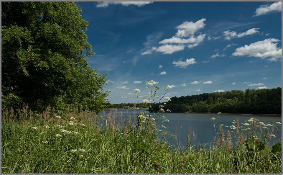 photo "***" tags: landscape, summer