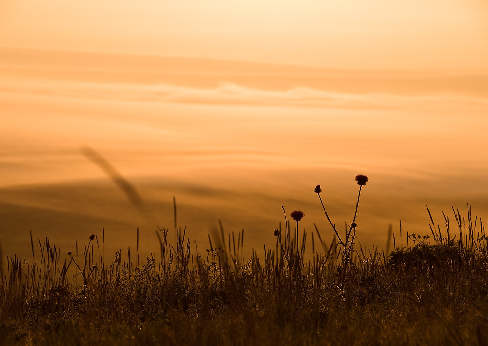 photo "Горы, утро, туман" tags: landscape, sunset