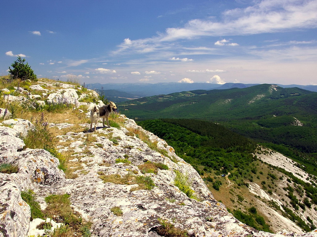 photo "***" tags: landscape, summer