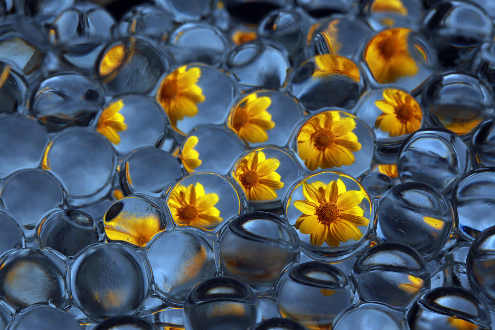 фото "light and waterplay" метки: природа, цветы