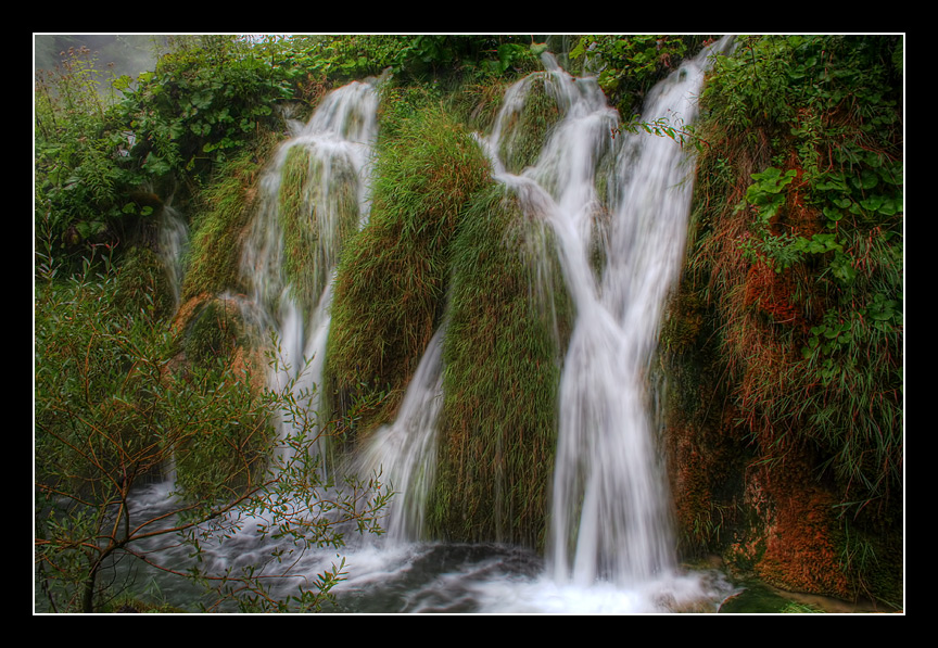 фото "Трава и вода" метки: пейзаж, 