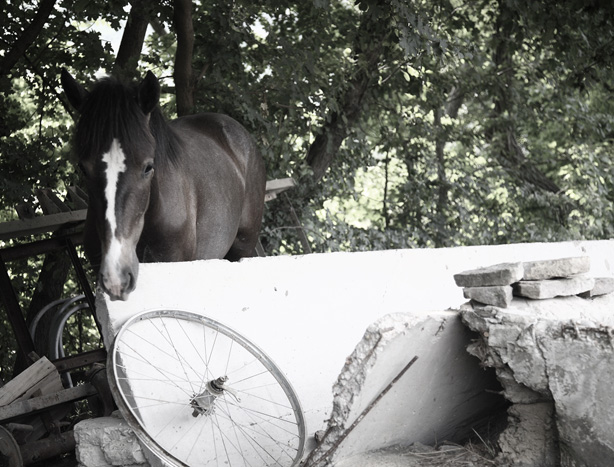 photo "***" tags: nature, 