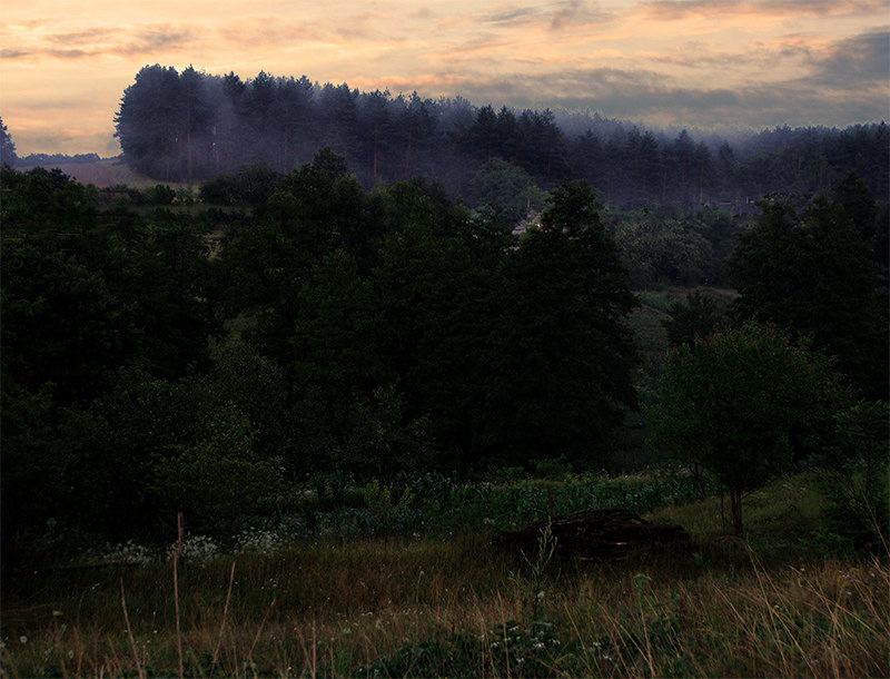 фото "Закат после грозы" метки: пейзаж, закат, лес
