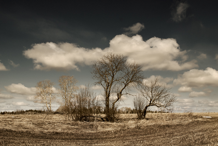 photo "***" tags: landscape, spring