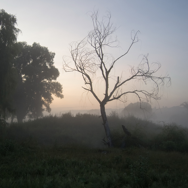 photo "***" tags: landscape, summer