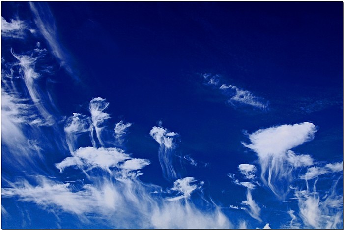 фото "Jellies In The Southern Sky" метки: пейзаж, облака