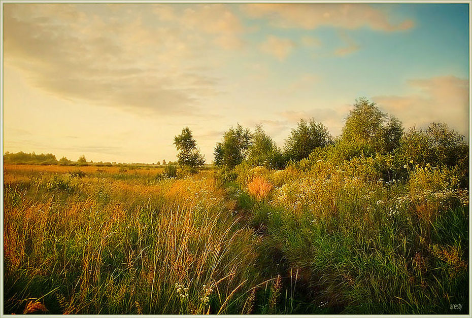 photo "***" tags: landscape, summer