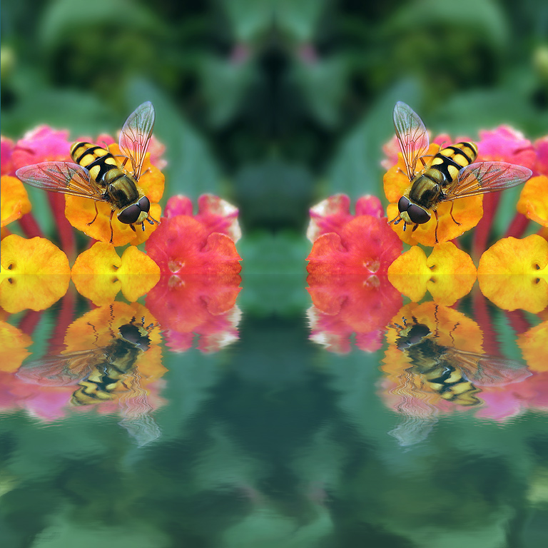 photo "colorful life" tags: montage, 