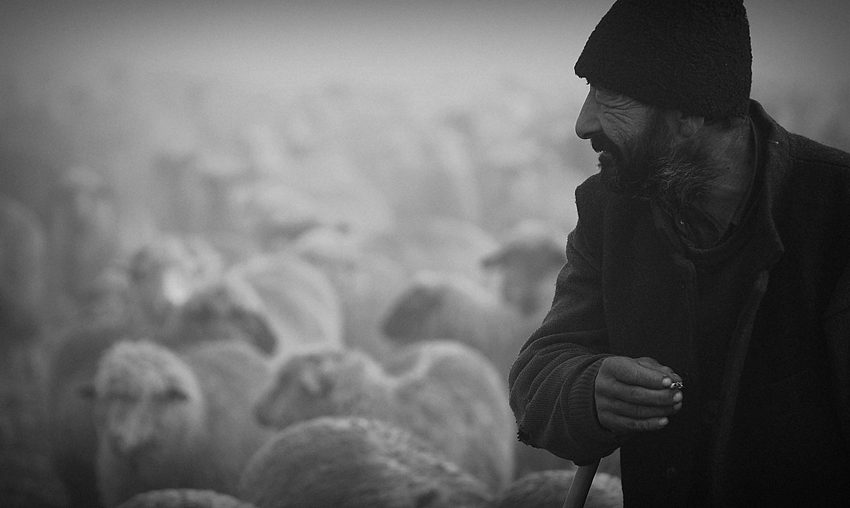 photo "The Shepherd" tags: portrait, man