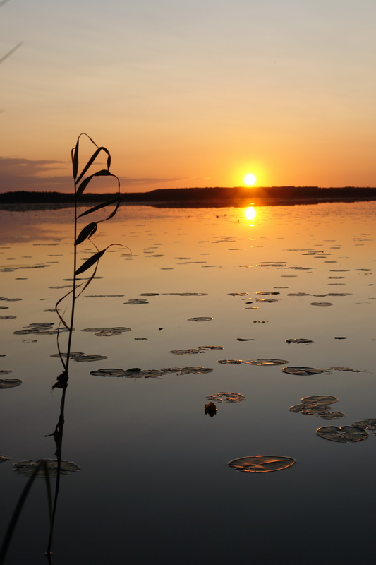 photo "***" tags: landscape, sunset, water