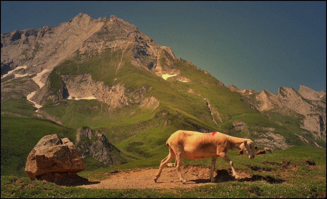 photo "***" tags: landscape, mountains