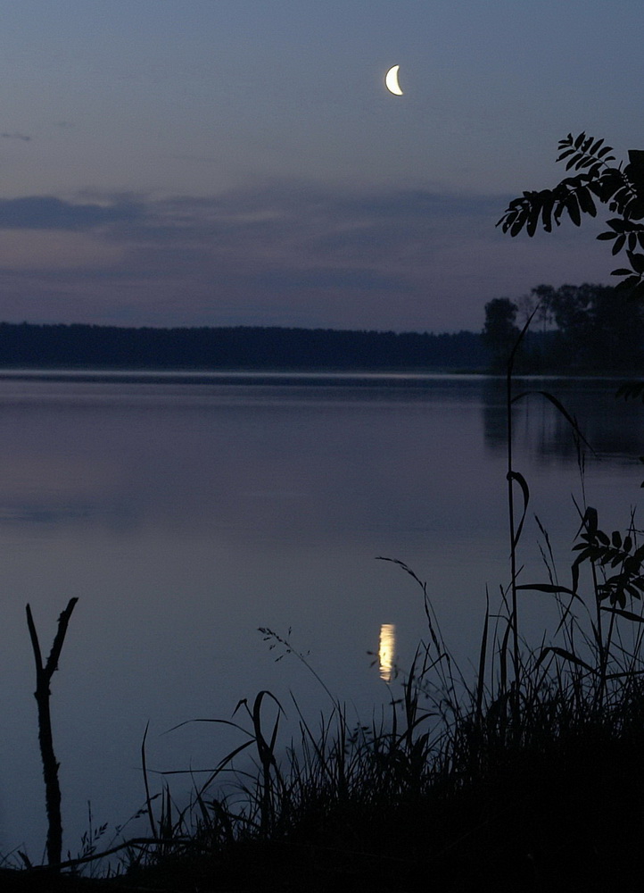 photo "***" tags: landscape, night, summer