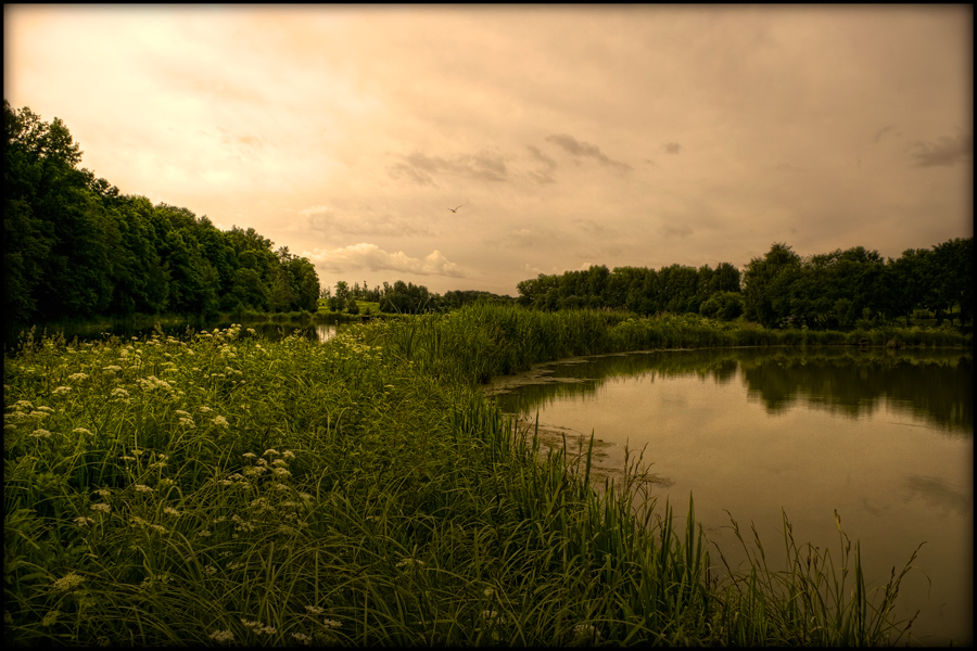 photo "***" tags: landscape, 