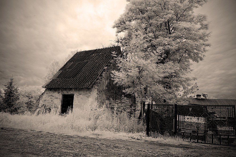 photo "PICTURE" tags: old-time, black&white, 