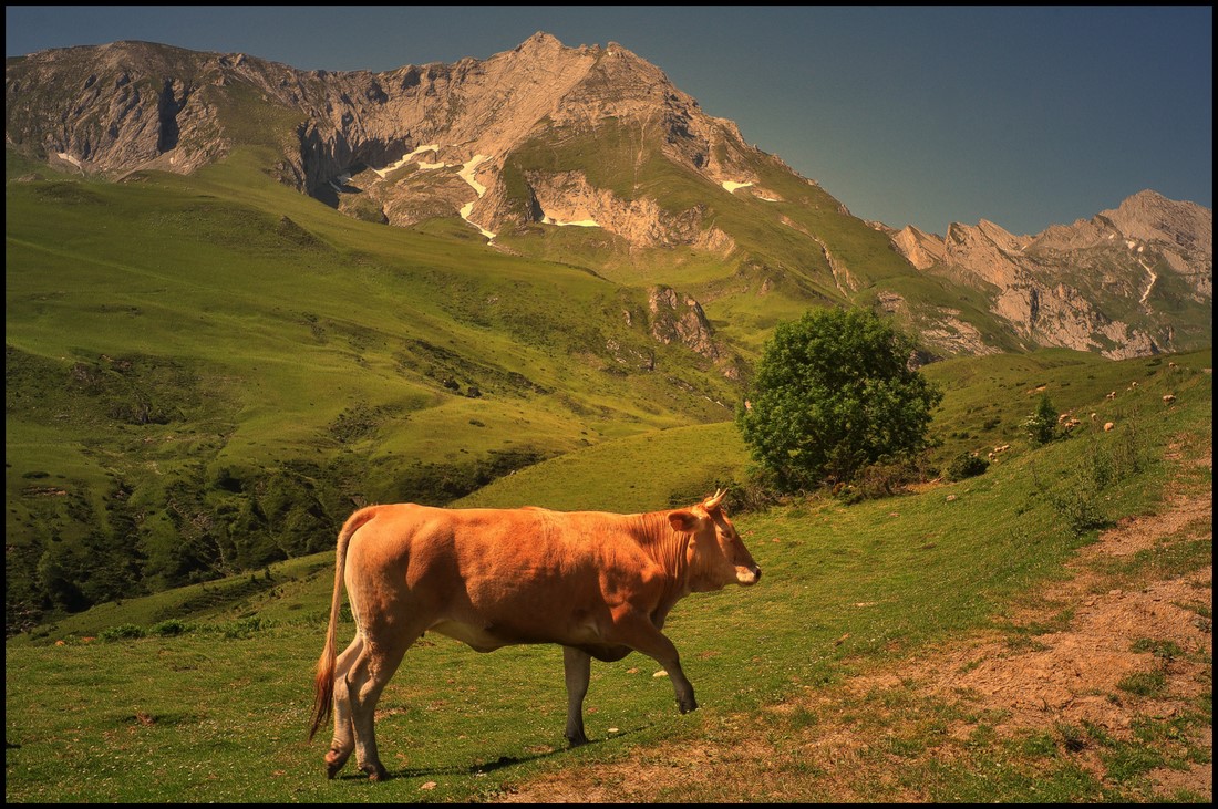 photo "***" tags: landscape, mountains