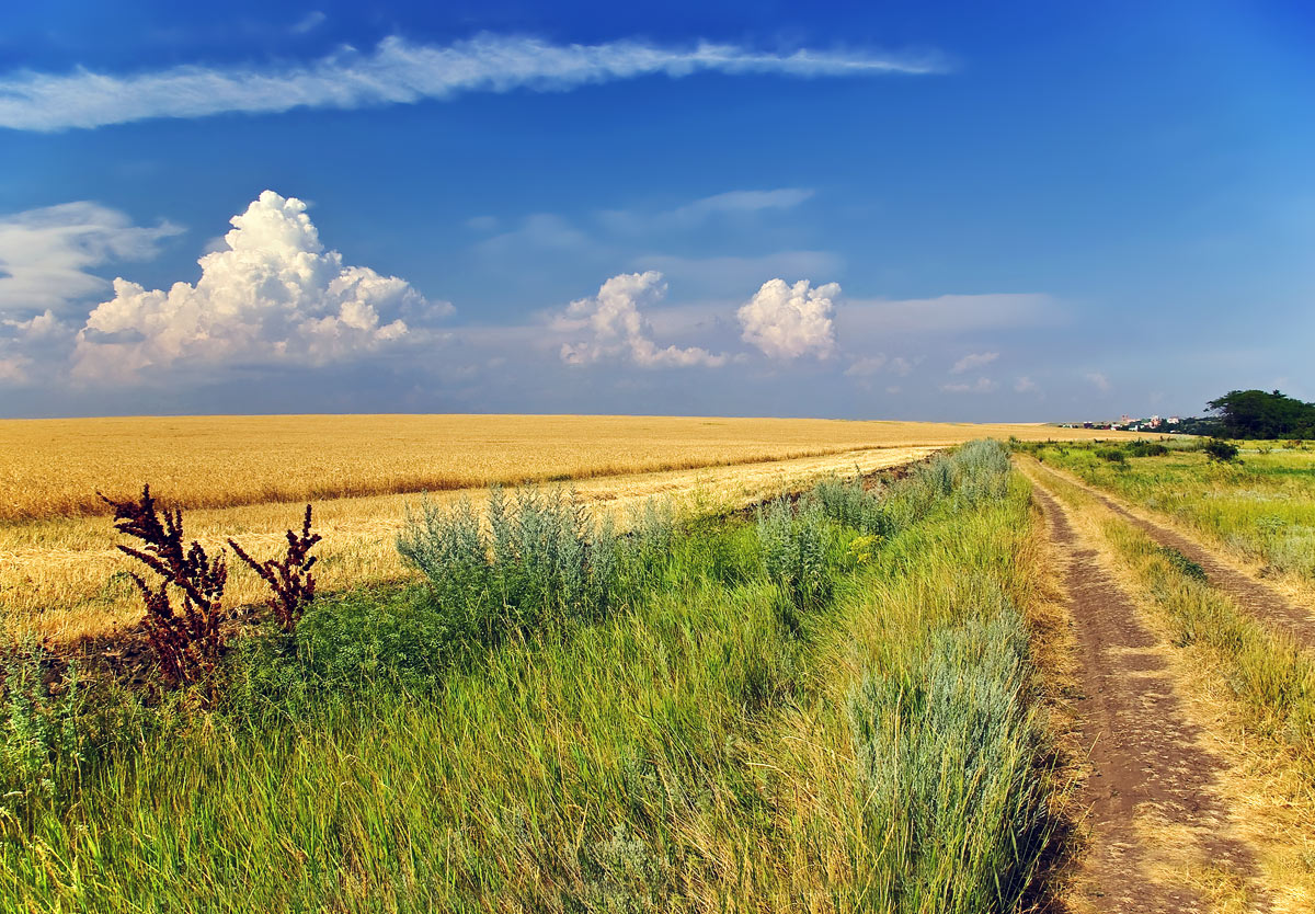 photo "***" tags: landscape, summer