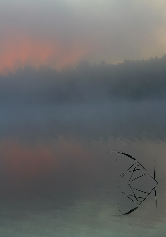фото "Раннеутренняя" метки: пейзаж, вода, закат