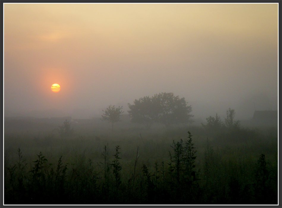 фото "..." метки: пейзаж, закат, лето