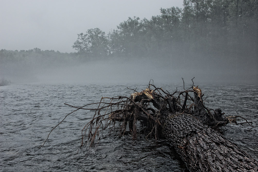 photo "***" tags: landscape, summer