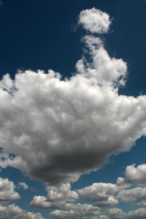 photo "The Bird" tags: landscape, clouds, summer