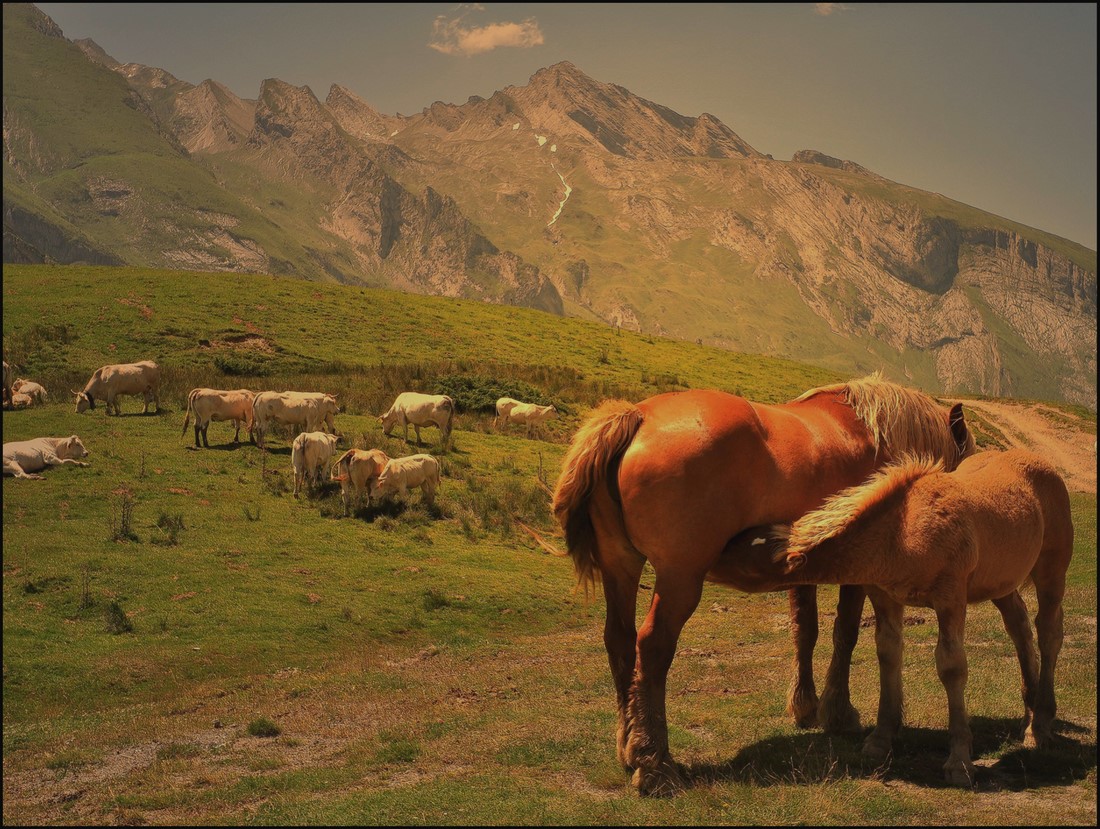 photo "***" tags: landscape, mountains