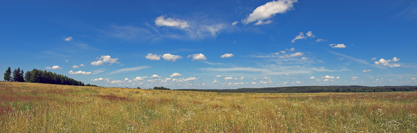 photo "***" tags: landscape, summer