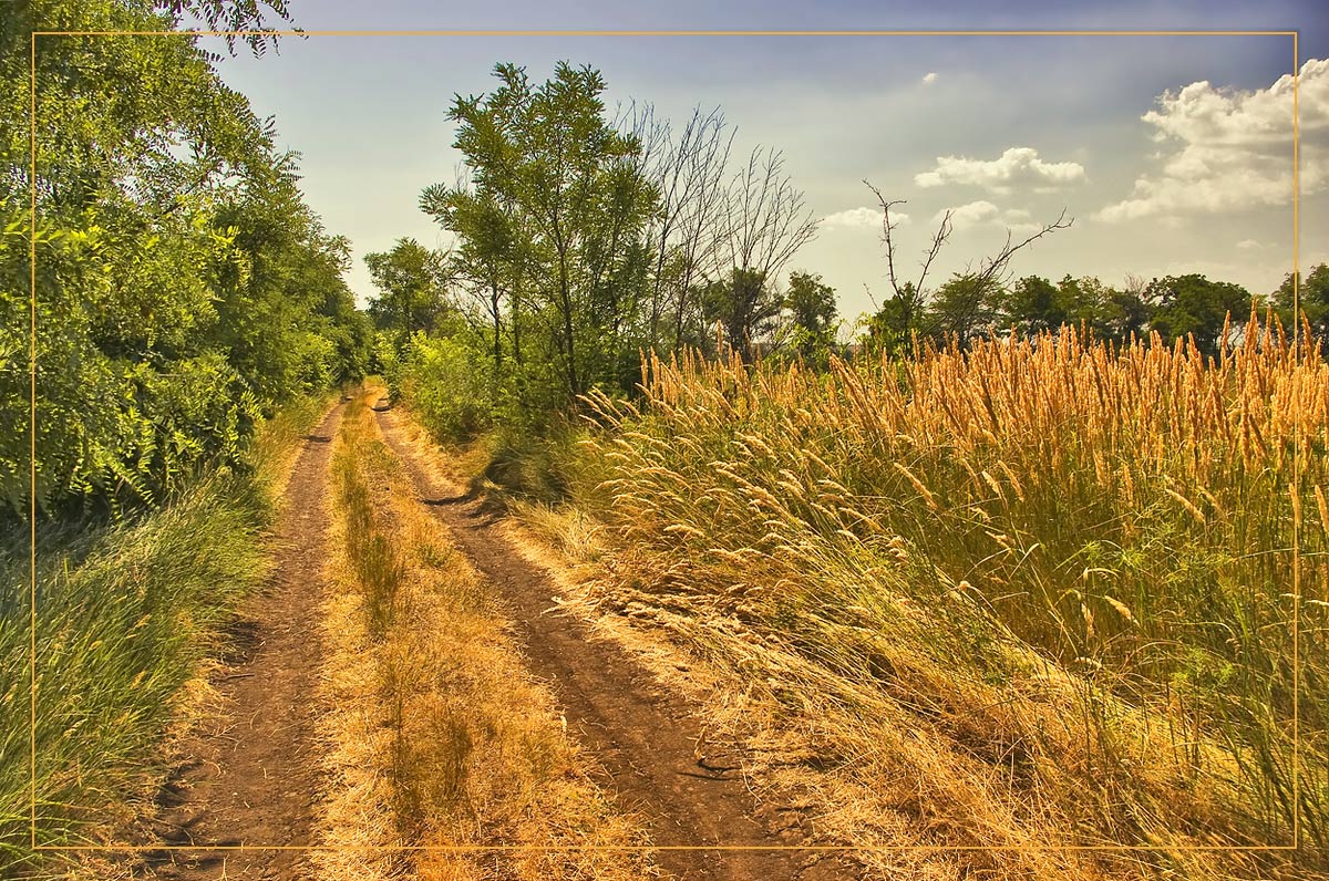 photo "***" tags: landscape, summer