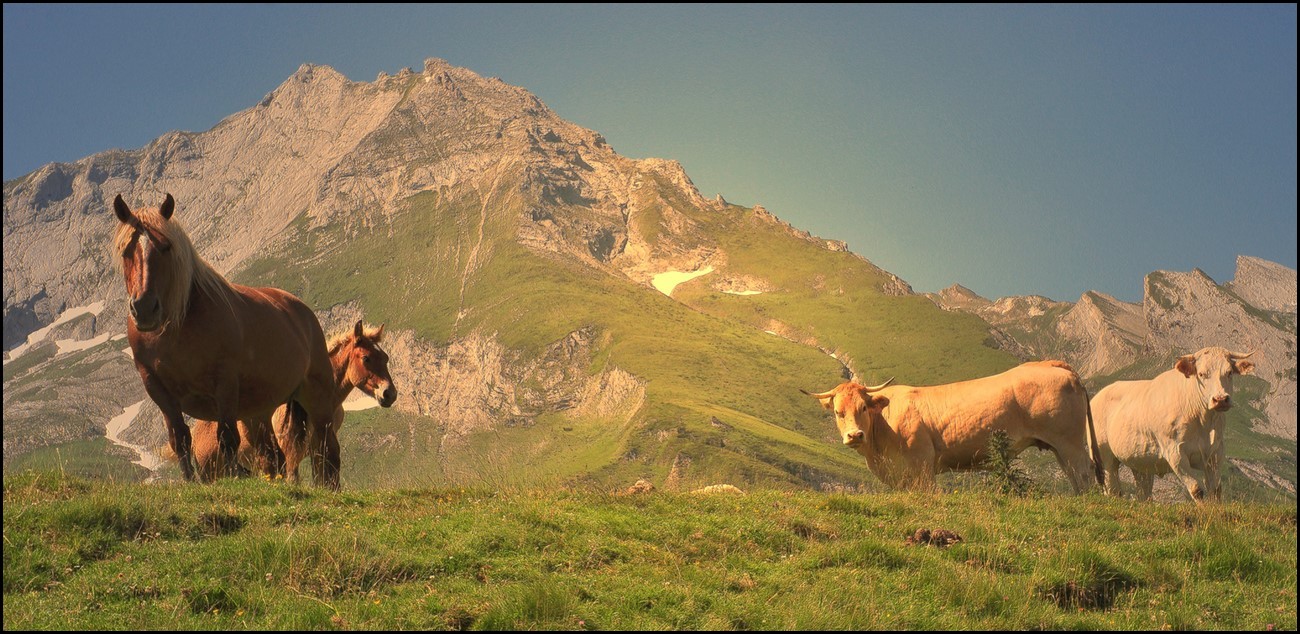 photo "***" tags: landscape, mountains