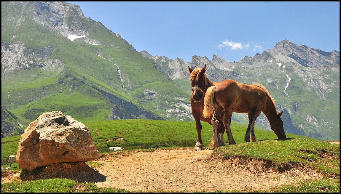 photo "***" tags: landscape, mountains