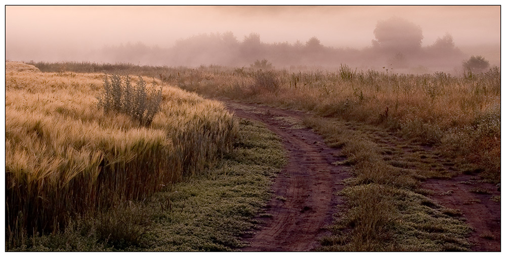 photo "***" tags: landscape, summer