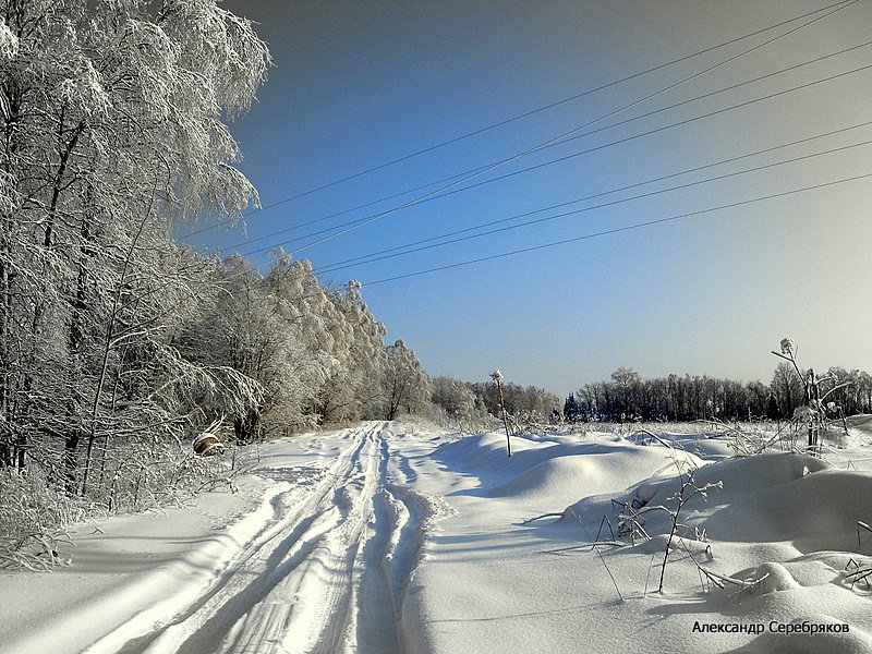 photo "природа,зима,дорога,мороз,деревья,поле,лес" tags: landscape, winter