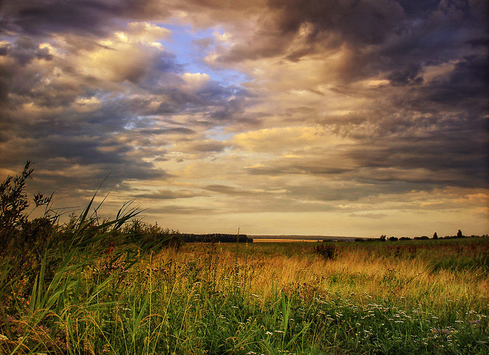 photo "The July morning, hope and doubt" tags: landscape, summer