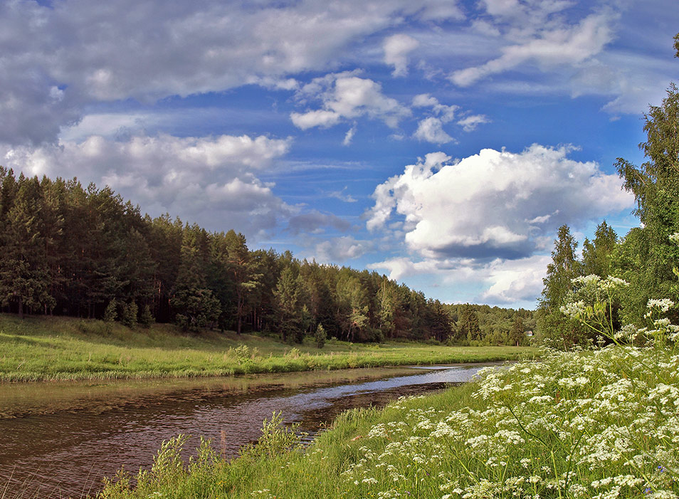 photo "***" tags: landscape, summer