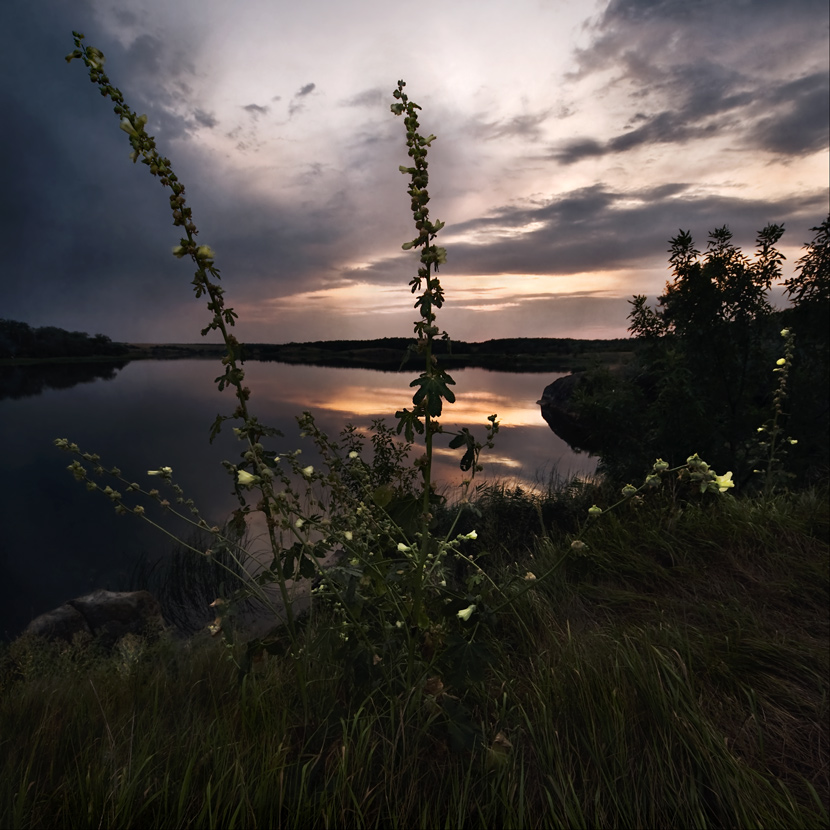 фото "Вечерняя мальва" метки: архитектура, пейзаж, закат